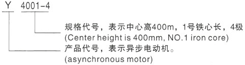 西安泰富西玛Y系列(H355-1000)高压龙南三相异步电机型号说明